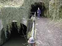 Shrewley tunnel(s)